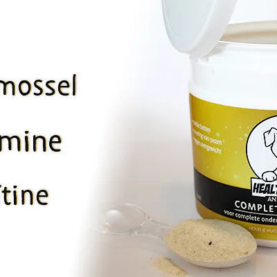 Artrose en/of Heupdysplasie bij Honden - Onlinedierenwereld