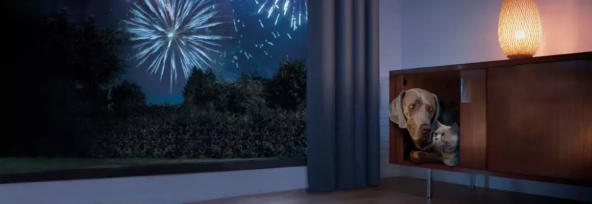 Vuurwerk-angst? Zo stel je jouw hond en kat gerust - Onlinedierenwereld
