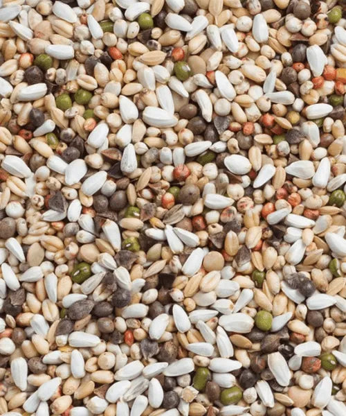 Kiemzaad grote Parkiet en Papegaai (1 kg) - Onlinedierenwereld