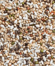 Deli Nature 33 Kiemzaad grote Parkiet en Papegaai - Onlinedierenwereld