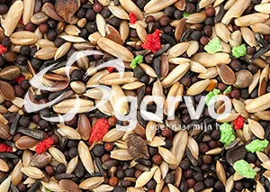 Garvo 5365 Kanariezaad - Onlinedierenwereld