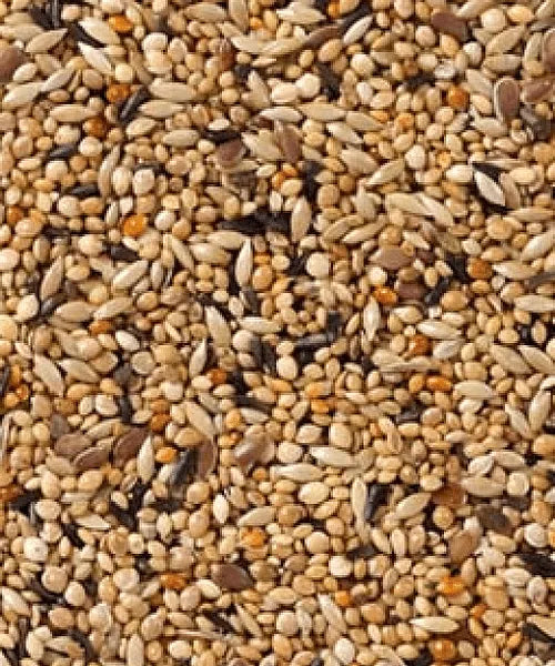 Mengeling Deli Nature 56 Tropische Vogels Super