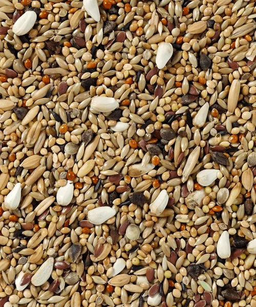 Mengeling Deli Nature 68 Grote Parkiet (zonder Zonnebloempitten)