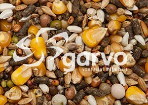 Garvo 7000 g-spirits marathon - Onlinedierenwereld
