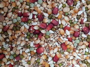 AIDI Mix 2 (vliegmengeling) - Onlinedierenwereld