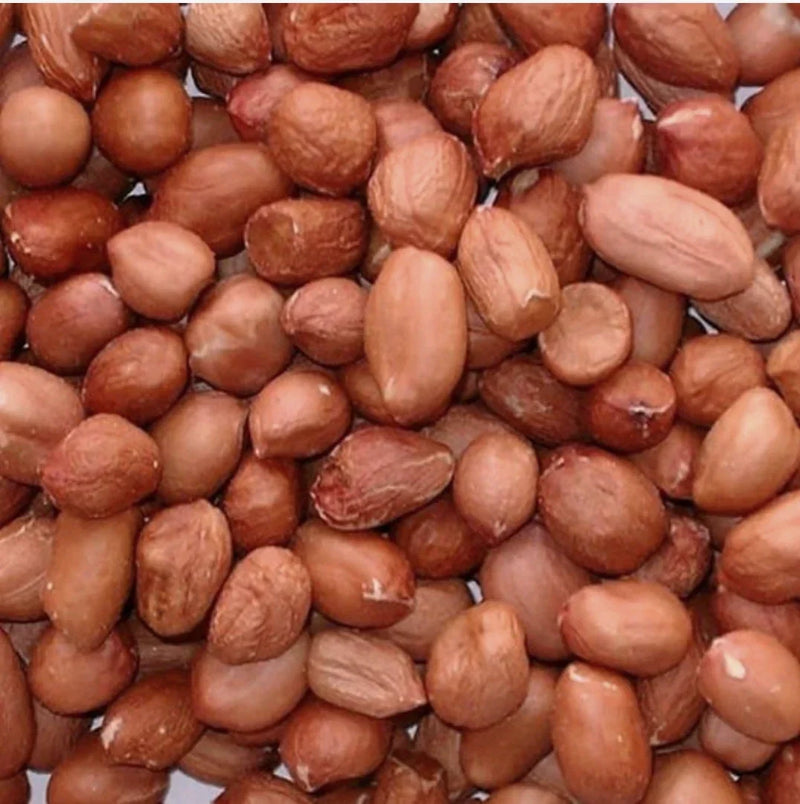 Aardnootjes gepeld (groot) - Onlinedierenwereld