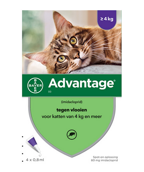Bayer Advantage 80 Kat (preventief en curatief tegen vlooien)