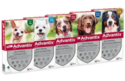 Advantix spot-on hond 4st (Bestrijding en Preventie) - Onlinedierenwereld