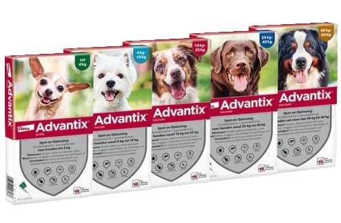 Advantix spot-on hond 4st (Bestrijding en Preventie) - Onlinedierenwereld