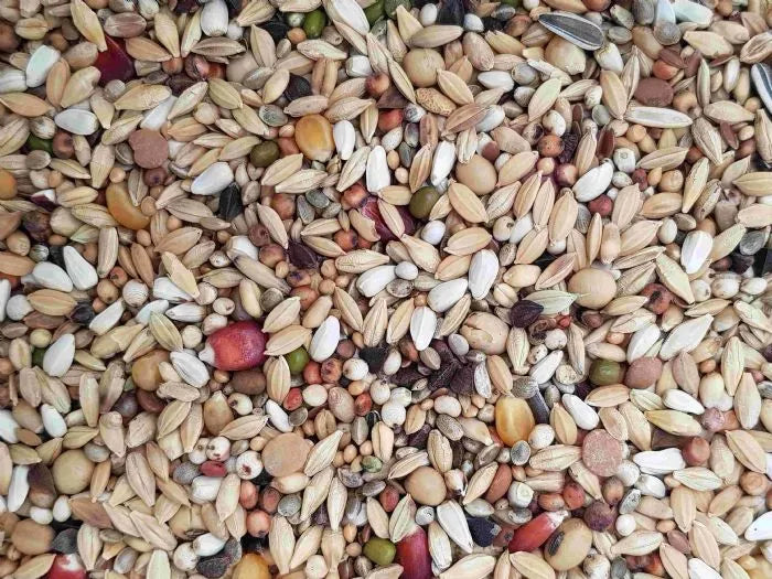 AIDI Mix 1 (vliegmengeling) - Onlinedierenwereld