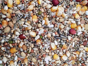 AIDI Mix 3 (vliegmengeling) - Onlinedierenwereld