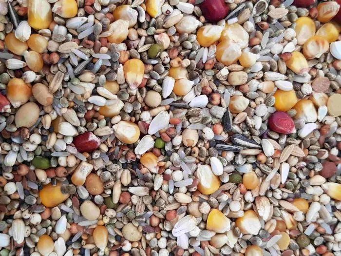 AIDI Mix 3 (vliegmengeling) - Onlinedierenwereld