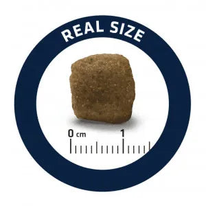 Advance Veterinary Diets Dog Articular (12 kg) - Onlinedierenwereld
