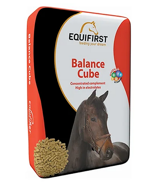 Equifirst Balance Cube (20 kg)