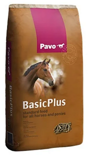 Pavo Basic Plus - Onlinedierenwereld