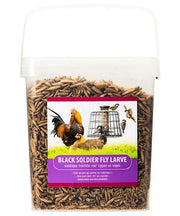 Voerwaarts Black Soldier Fly (aanvullend diervoeder) - Onlinedierenwereld