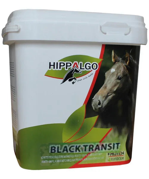 Hippalgo Black Transit - Onlinedierenwereld