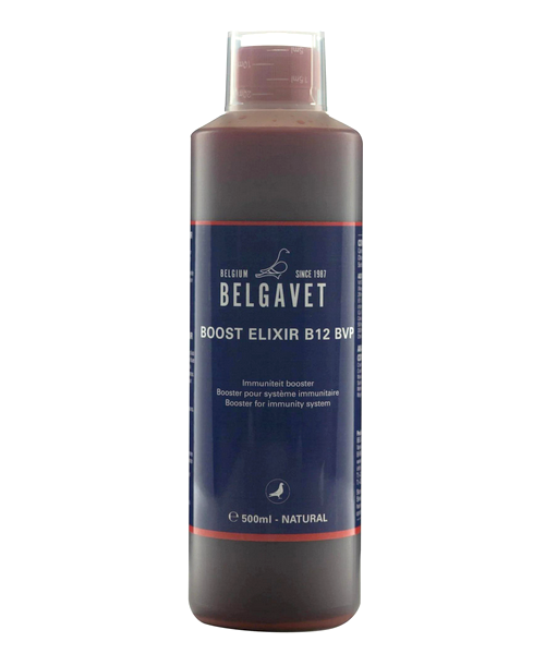 Belgavet Boost Elixir B12 BVP (500ml)