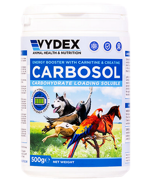 Vydex Carbosol (met toegevoegde L-Camitine)