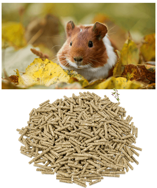 Metazoa FitRight Cavia (hoog gehalte vitamine C)