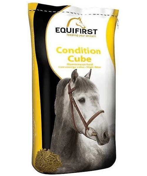 Equifirst Condition Cube (voor vervangend product klik hier) - Onlinedierenwereld