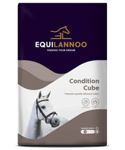 Aanbieding Equilannoo Condition Cube - Onlinedierenwereld