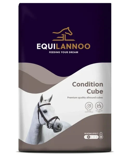 Aanbieding Equilannoo Condition Cube - Onlinedierenwereld