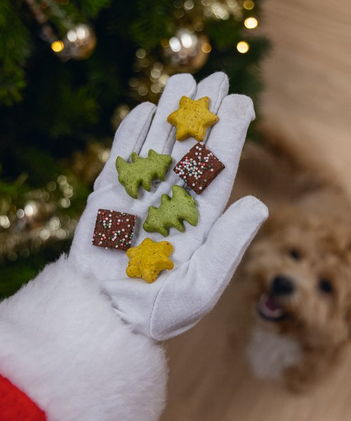 Beeztees Kerstkoekjes