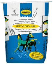 Havens Cool-Mix (en met extra dinkelspelt)