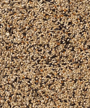 Deli Nature 70 Neophema Premium (foto zaden)