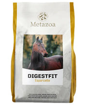 Metazoa DigestFit Esparcette - Onlinedierenwereld