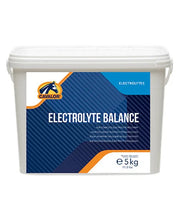 Cavalor Electrolyte Balance - Onlinedierenwereld