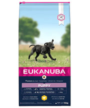 Eukanuba Growing Puppy large breed Kip (met omega 3 en 6)