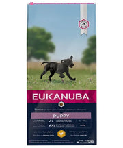 Eukanuba Puppy large breed Kip (met Omega 3 en 6) - Onlinedierenwereld