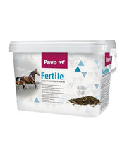 Pavo Fertile - Onlinedierenwereld