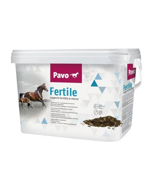 Pavo Fertile - Onlinedierenwereld