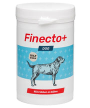Finecto+ Dog - Onlinedierenwereld