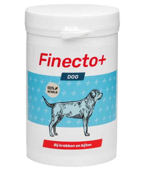 Finecto+ Dog - Onlinedierenwereld