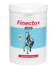 Finecto+ Horse - Onlinedierenwereld