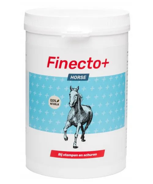 Finecto+ Horse - Onlinedierenwereld