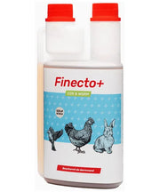 Finecto Cox & Worm - Onlinedierenwereld