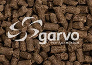 Garvo Fyto Nova - Onlinedierenwereld