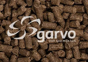 Garvo Fyto Nova - Onlinedierenwereld