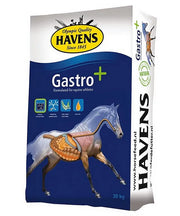 Havens Gastro+ (bewezen volwaardig krachtvoer)