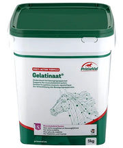 Primeval Gelatinaat Paard (Multi-Action Formula) - Onlinedierenwereld