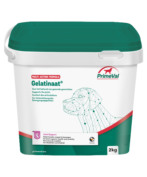 PrimeVal Gelatinaat Hond - Onlinedierenwereld