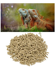 Metazoa Fitright groene leguaan - Onlinedierenwereld