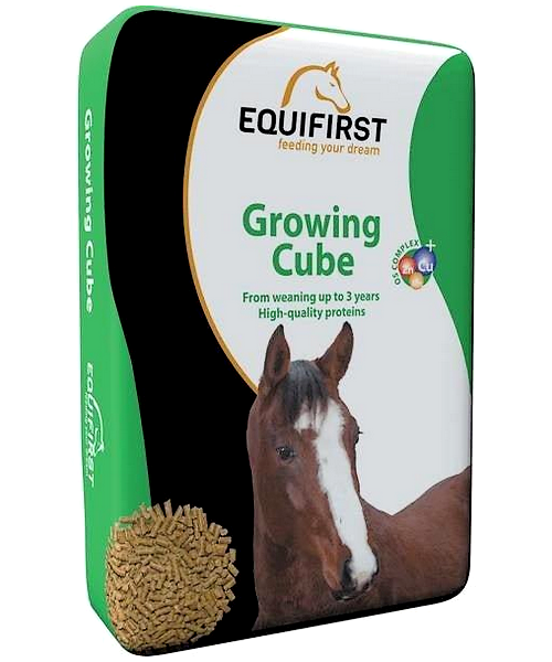 Equifirst Growing Cube (caballos jóvenes de 1 a 3 años)