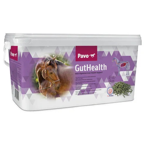PAVO Guthealth (vitaminen- en mineralenbalencer) - Onlinedierenwereld