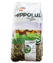 Horsefood Hippoluz (Lucernemix) - Onlinedierenwereld